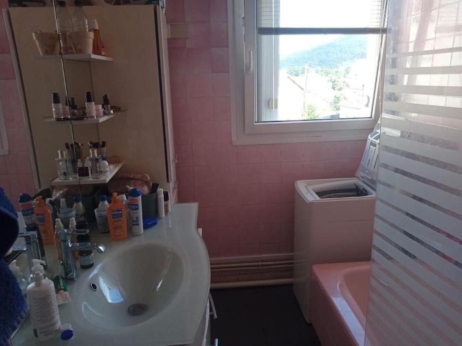 Appartement 83 M2 Renove Remiremont Dış mekan fotoğraf